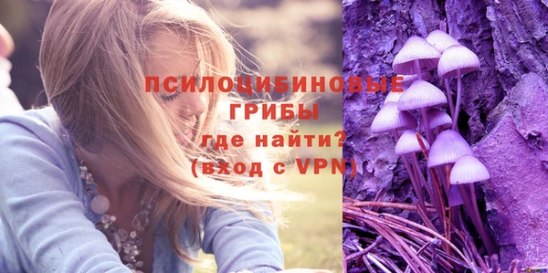 альфа пвп Гусь-Хрустальный