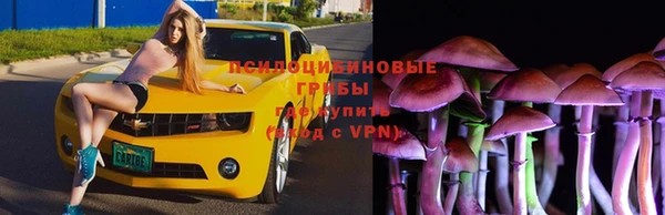 твердый Гусиноозёрск