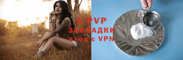 крисы Гусев