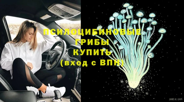крисы Гусев