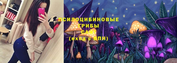 крисы Гусев
