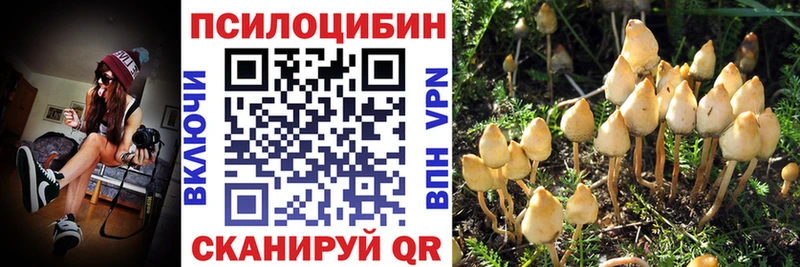 Псилоцибиновые грибы Cubensis  дарнет шоп  Чайковский 